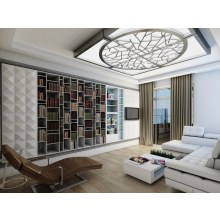 Özel tasarım KİTAPLIK  ve Bar LAKE Boyalı dolap